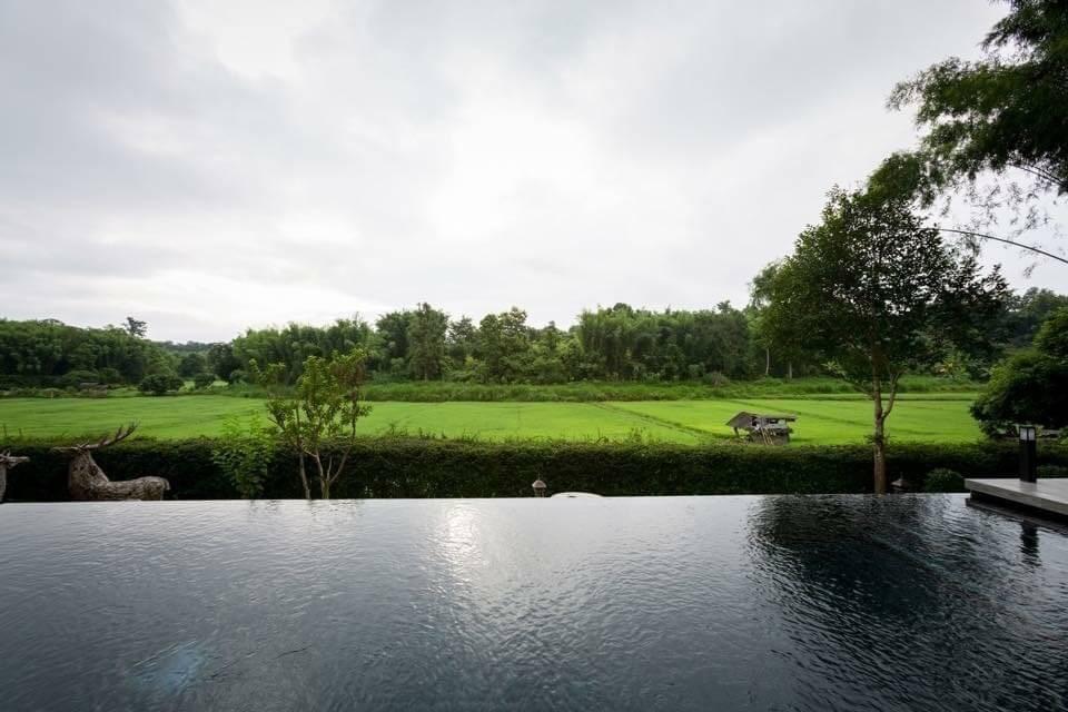 Beautiful Modern Balinese Pool Villa surrouded by rice paddies
