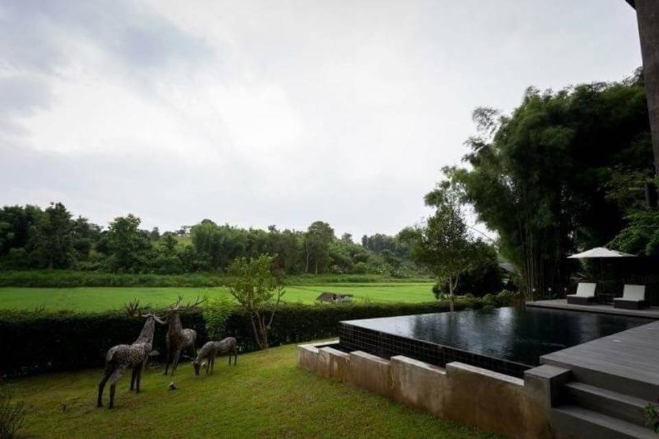 Beautiful Modern Balinese Pool Villa surrouded by rice paddies
