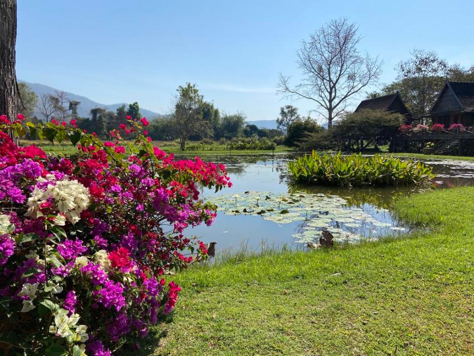 Amazing Thai Heritage Compound surrounded by Hills and Rice Fields