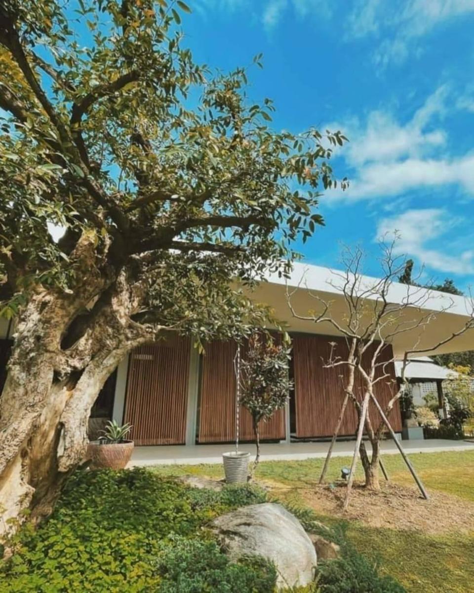 Beautiful Modern Contemporary House with Greenhouse and Big Garden in Mae Rim
