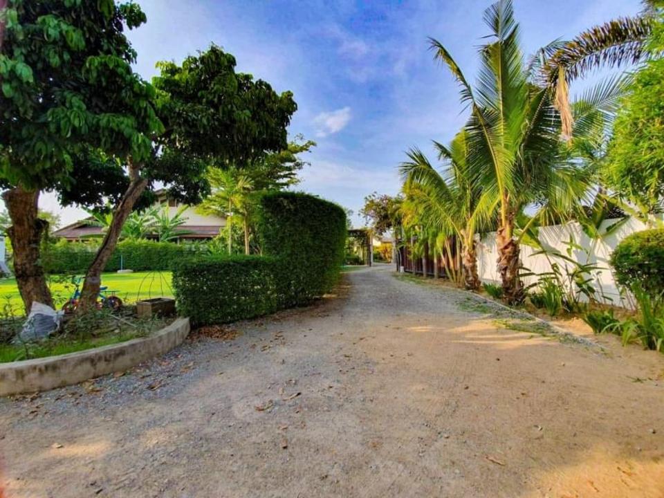 Renovated Modern House and HUGE garden with Big living room
