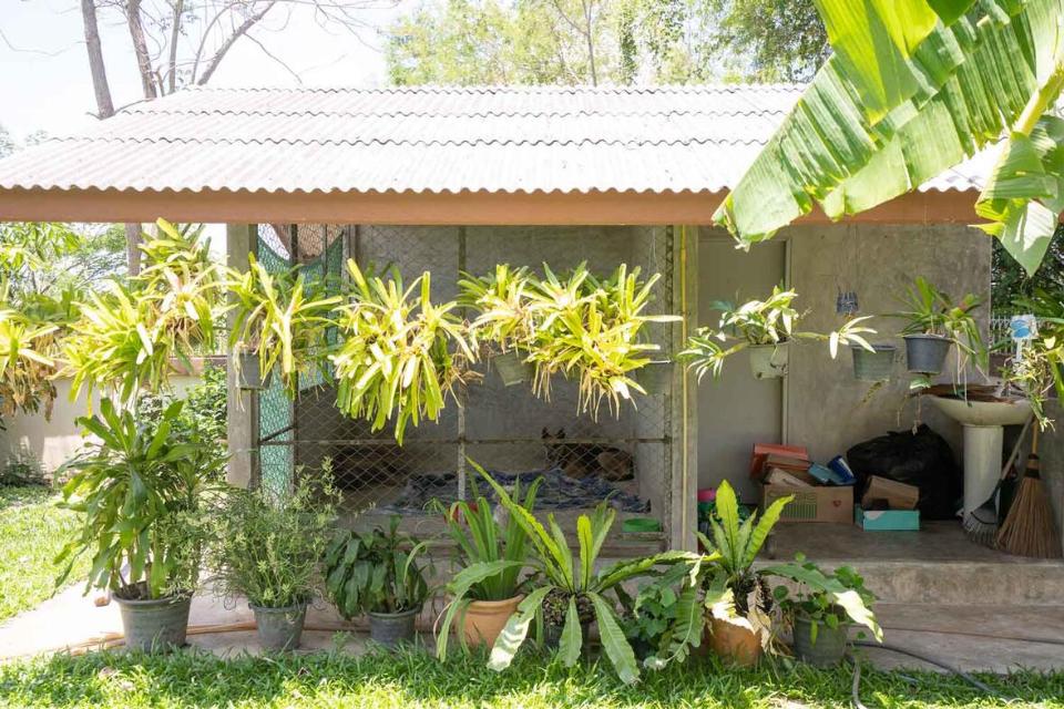 Sanpakwan 4 Bedroom Bungalow