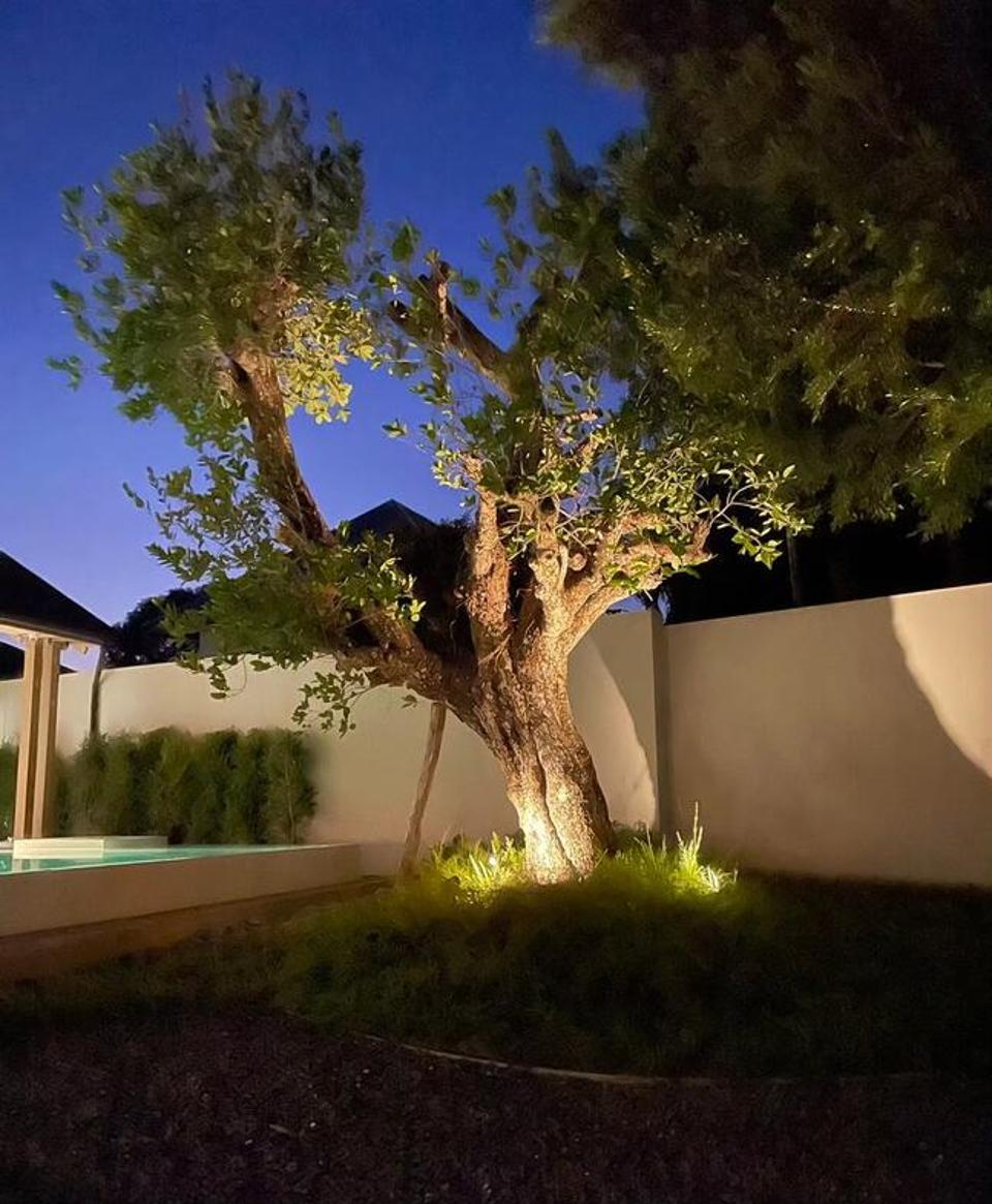 Brand New Beautiful Luxury Modern Lake Front Pool Villa in City 10 minutes to Nimman