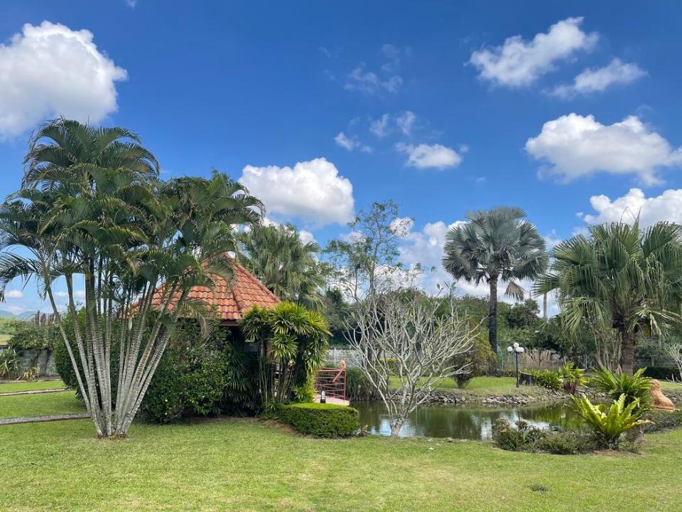 Exceptional Family Home surrounded with rice field in San Sai 30 minutes to the City