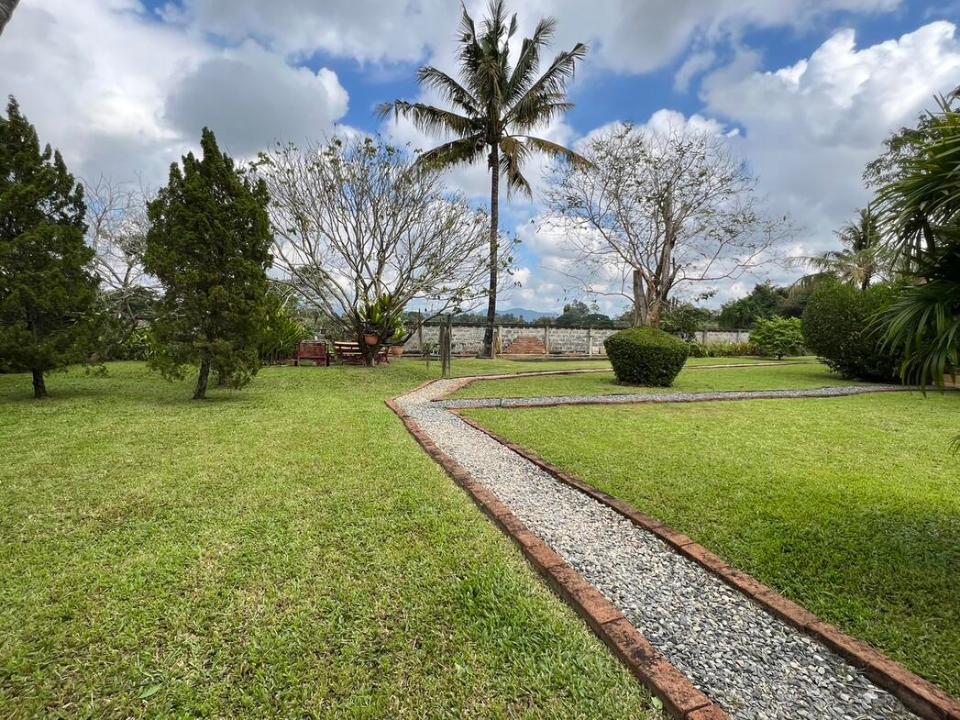 Exceptional Family Home surrounded with rice field in San Sai 30 minutes to the City