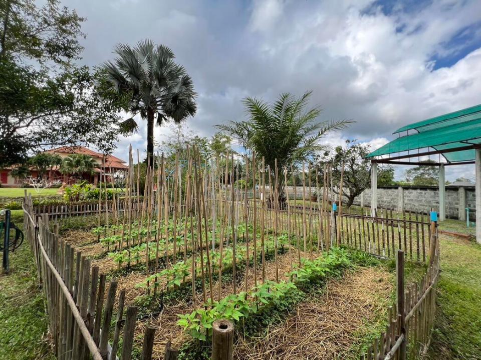 Exceptional Family Home surrounded with rice field in San Sai 30 minutes to the City
