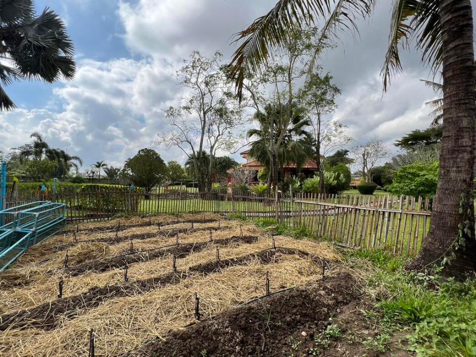 Exceptional Family Home surrounded with rice field in San Sai 30 minutes to the City