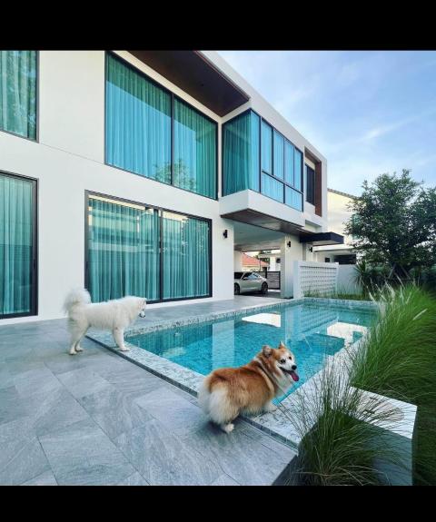 Luxury Pool Villa Pet Friendly