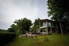 Beautiful Modern Balinese Pool Villa surrouded by rice paddies thumbnail 9