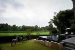 Beautiful Modern Balinese Pool Villa surrouded by rice paddies thumbnail 20
