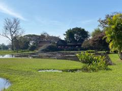 Amazing Thai Heritage Compound surrounded by Hills and Rice Fields