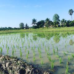 Peaceful and Unique Artisan Balinese Resort Home Rice Paddies View in Nam Phrae thumbnail 34