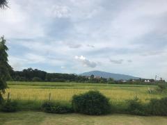Peaceful and Unique Artisan Balinese Resort Home Rice Paddies View in Nam Phrae thumbnail 38
