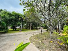 Beautiful Timeless Lanna Contemporary Garden 2-Storey House On A Large Land Only 15 Minutes To City Center thumbnail 3