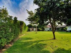 Renovated Modern House and HUGE garden with Big living room thumbnail 12