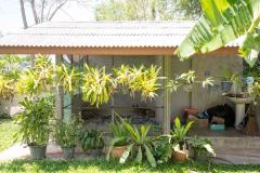 Sanpakwan 4 Bedroom Bungalow thumbnail 24