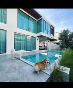 Luxury Pool Villa Pet Friendly