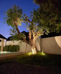 Brand New Beautiful Luxury Modern Lake Front Pool Villa in City 10 minutes to Nimman thumbnail 27