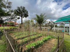 Exceptional Family Home surrounded with rice field in San Sai 30 minutes to the City thumbnail 38
