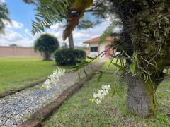 Exceptional Family Home surrounded with rice field in San Sai 30 minutes to the City thumbnail 40
