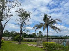 Exceptional Family Home surrounded with rice field in San Sai 30 minutes to the City thumbnail 41